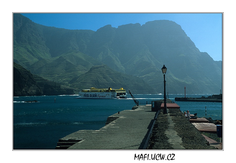 canaria06_02_15 .jpg